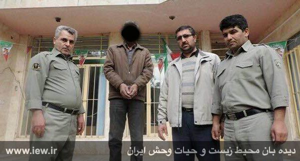 بازداشت عامل سگ آزاری گلستان و درخواست برای اشد مجازات (تصاویر)