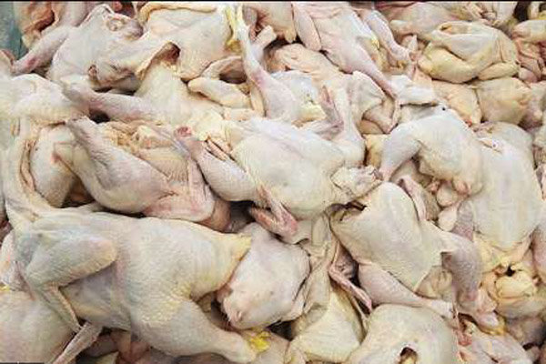 صادرات گوشت مرغ ممنوع می‌شود