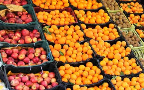 صادرات سیب و پرتقال ممنوع شد
