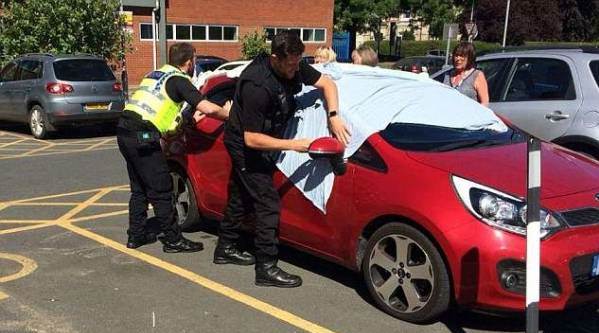 کار جالب پلیس برای نجات سگ از داخل ماشین