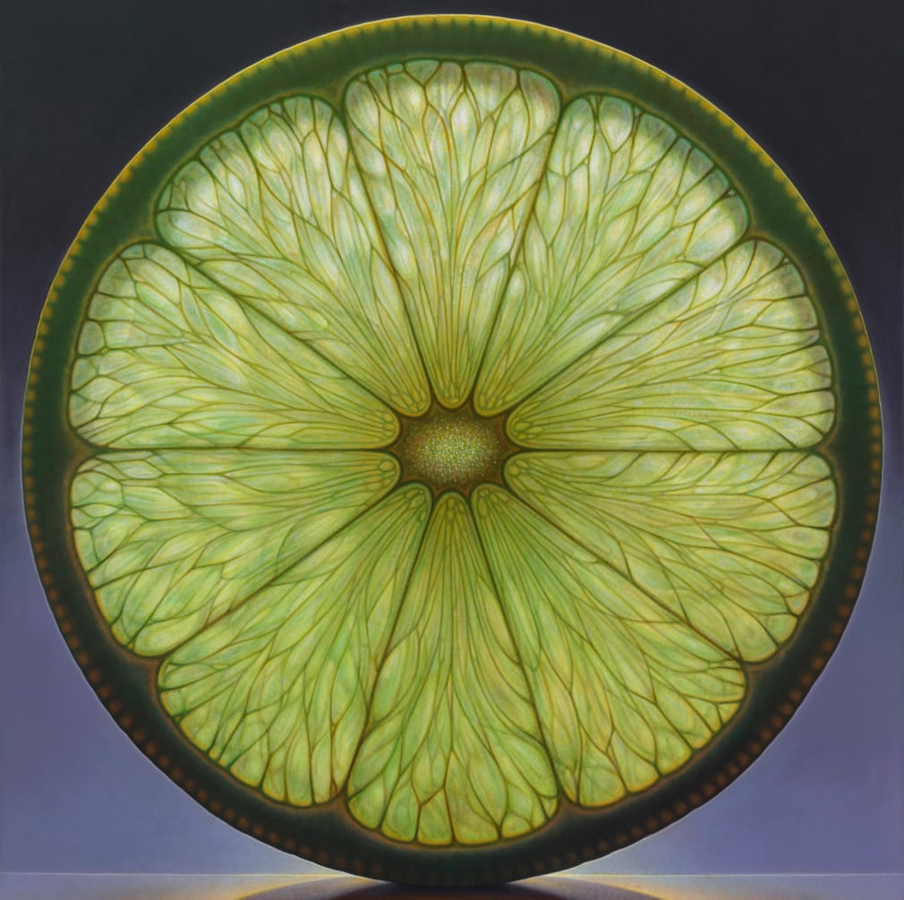 یک گزارش تصویری زیبا از آثار حادواقع‌گرایانه دنیس وُیتکِویچ در مورد میوه ها
