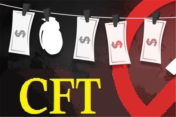 بررسی CFT در غیاب فراکسیون ولایی در صحن مجلس