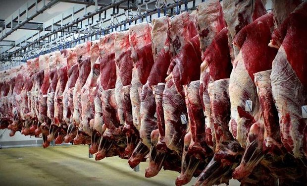 واکنش دولت به عرضه گوشت داخلی به جای وارداتی/اطلاعات غلط می‌دهند