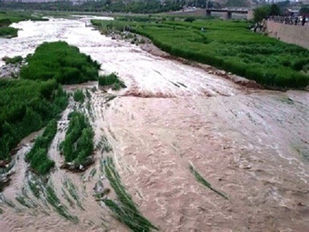 سیل به ۵۰ هزار هکتار از مزارع گندم و کلزای استان گلستان خسارت زد