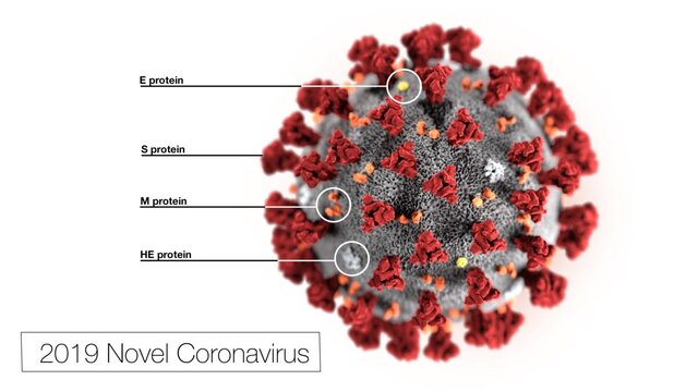 کارآییِ داروی ابولا و مِرس برای درمان کروناویروس