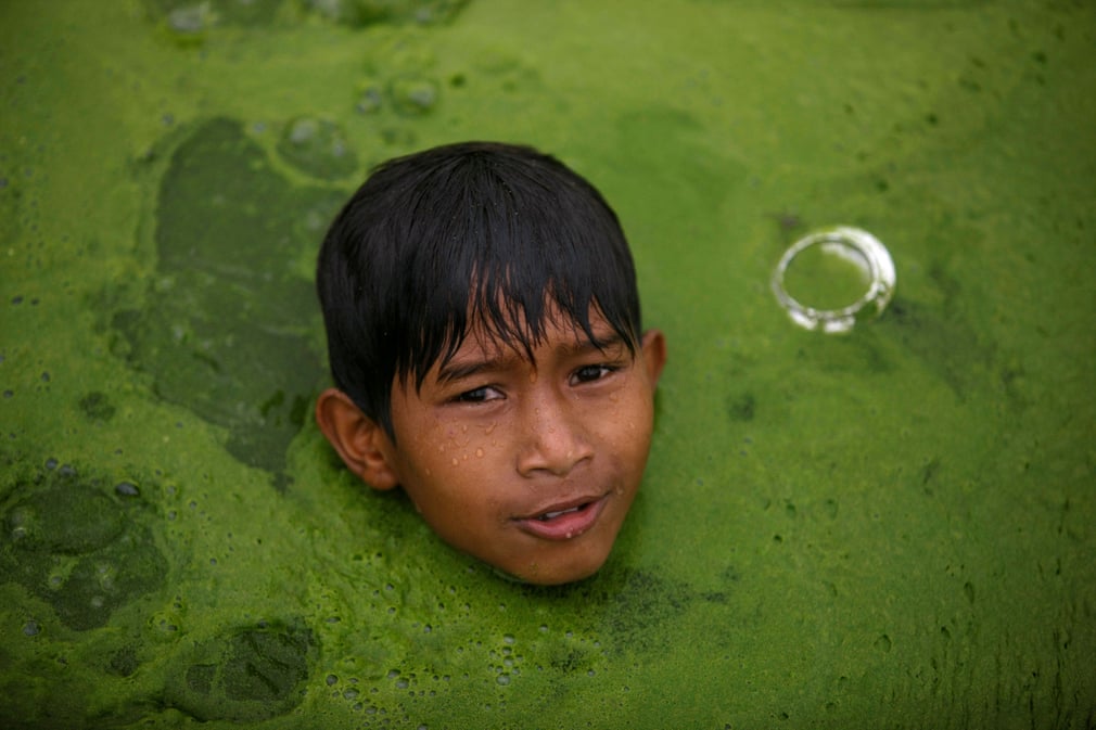 شنا در استخر جلبکی در شهر باختاپور نپال
