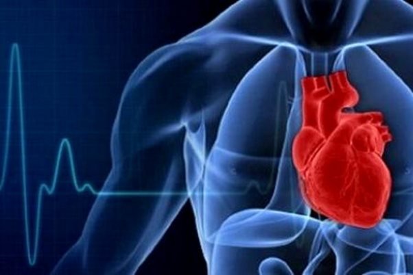 مرخصی کاری ریسک بیماری‌های قلبی را کاهش می‌دهد
