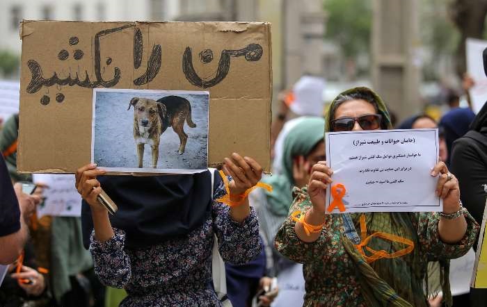 دستگیری تعدادی از اعتراض کنندگان به کشتار سگ‌ها مقابل شهرداری تهران