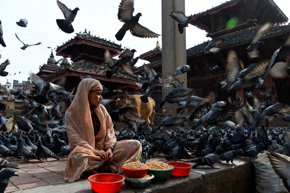 حضور انبوه کبوتران در میدانی در شهر کاتماندو نپال