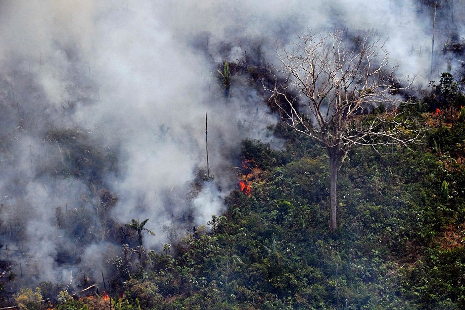 آتش سوزی مهیب در جنگل‌های آمازون در برزیل
