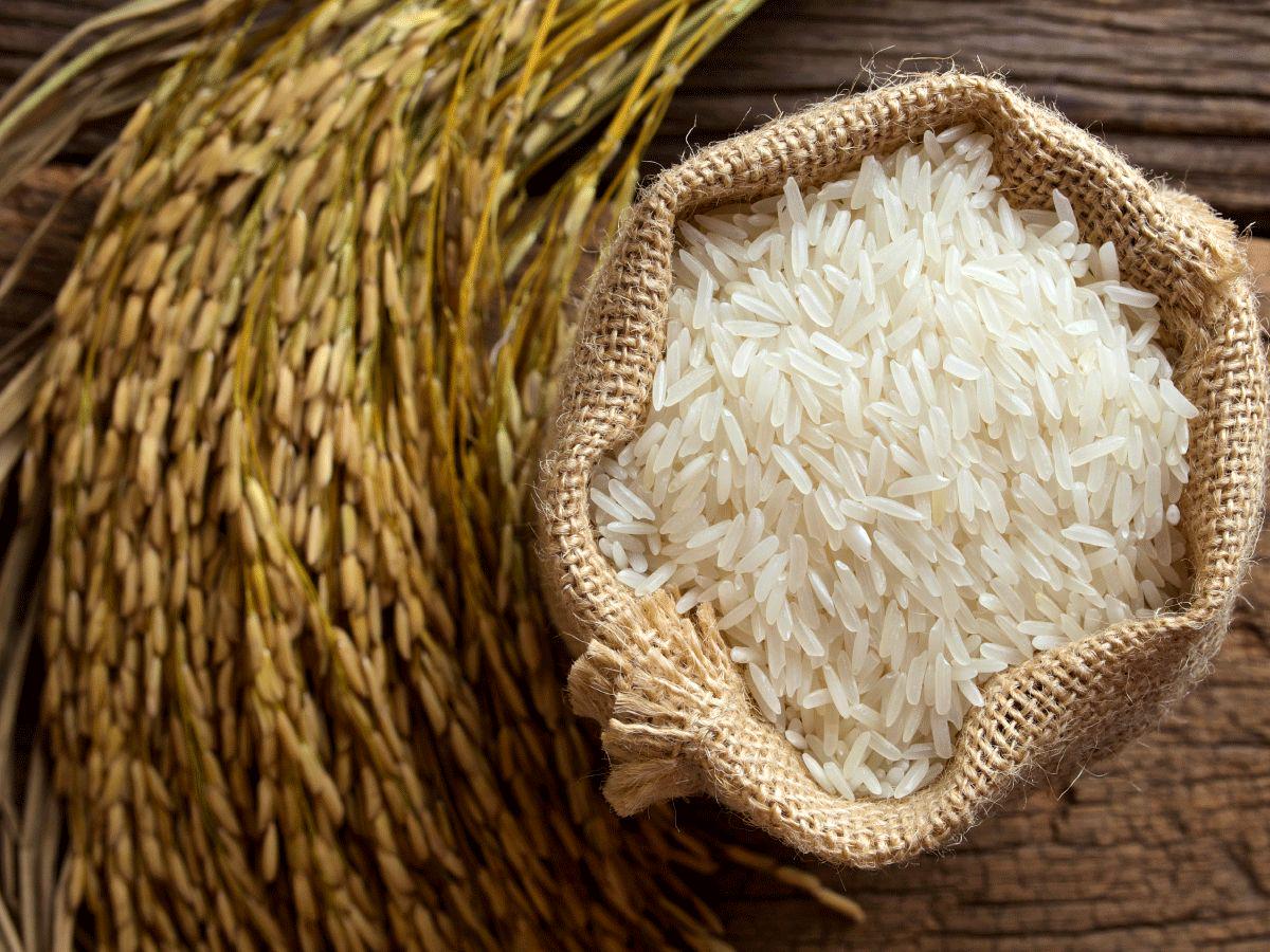 افزایش قیمت برنج و گندم