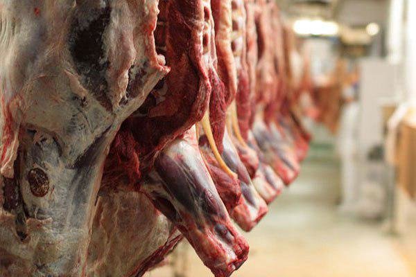 فروش گوشت تنظیم بازار 