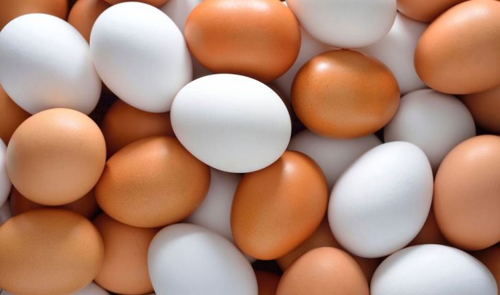 دلیل افزایش قیمت تخم مرغ چیست؟