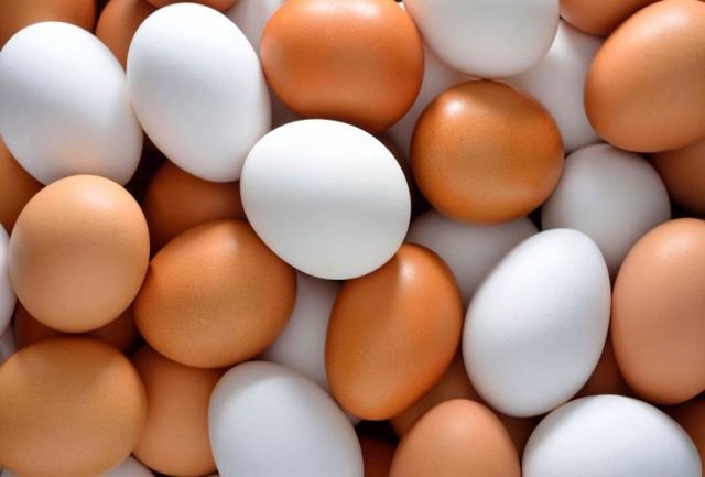 قاچاق تخم‌مرغ هر شانه ۷۰ هزار تومان