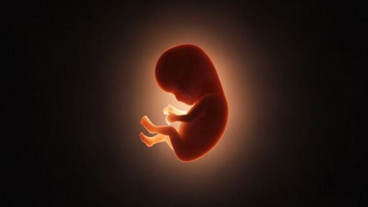 غربالگری جنین از گزافه‌گویی تا واقعیت/ ناآگاهی از شرایط سلامت جنین در دوران بارداری چه تبعاتی دارد؟