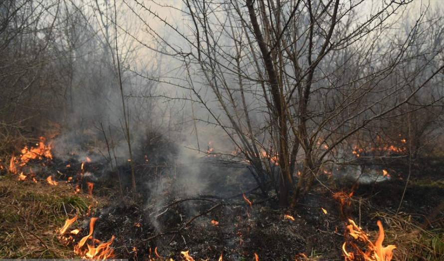 آتش‌سوزی‌های گسترده در «۸۱ نقطه» از جنگل‌های گیلان