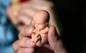 سقط ۷ هزار جنین از سال ۹۲ تاکنون/ غربالگری بار هزینه ای زیادی از دوش دولت برمی دارد