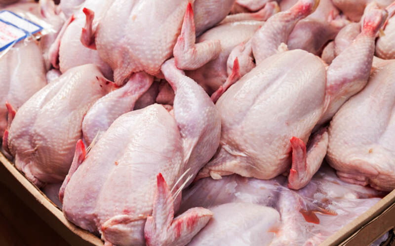 سرانه مصرف مرغ در کشور چقدر است؟