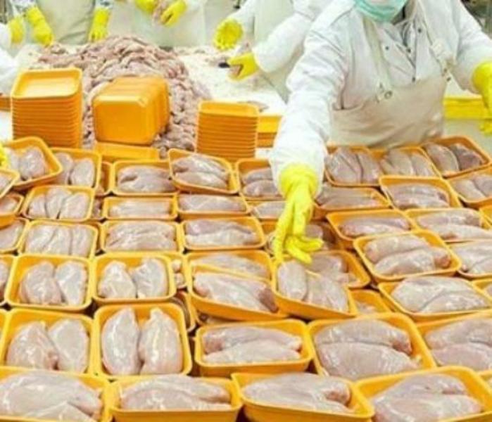 ممنوعیت صادرات مرغ با ۵ ماه تاخیر ابلاغ شد