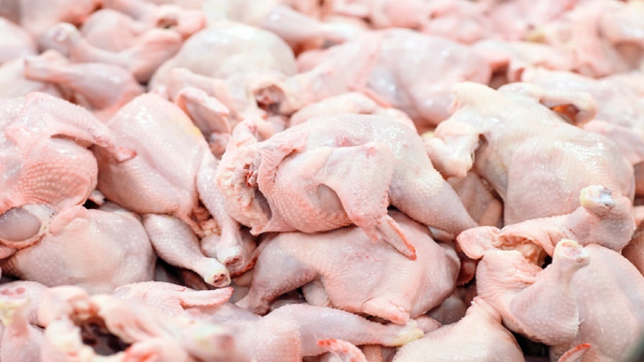 واردات گوشت مرغ