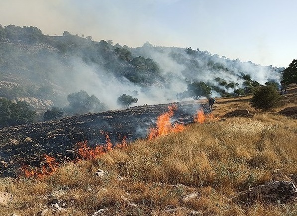 آتش سوزی منطقه خائیز
