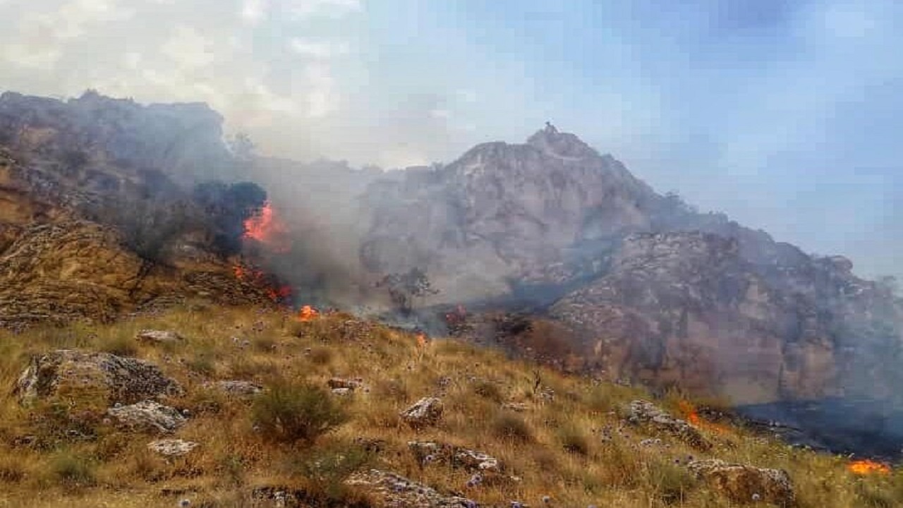 آتش سوزی کوه سیاه دشتستان در بوشهر 