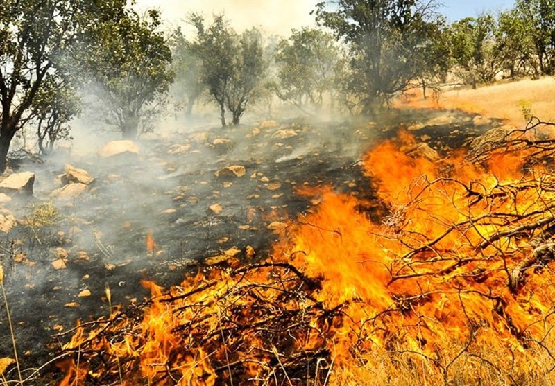 آتش سوزی جنگل‌های زاگرس