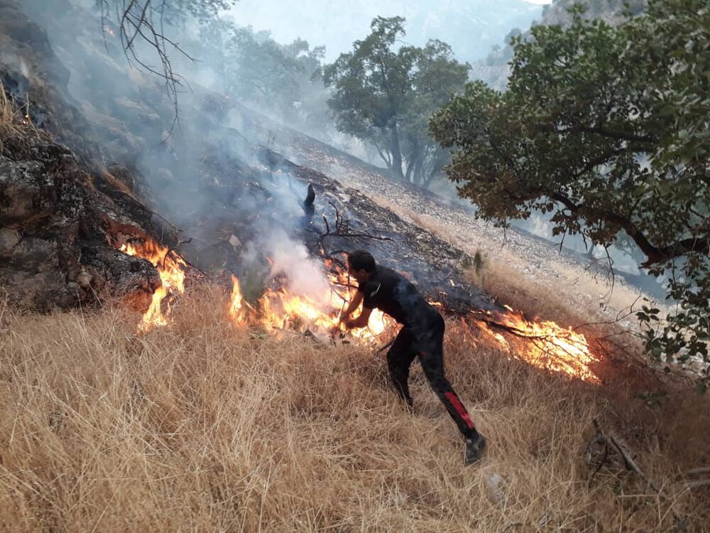 آتش سوزی جنگل‌های زاگرس 