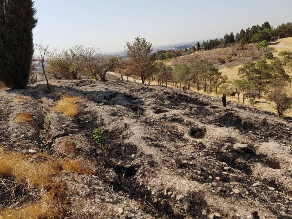 آتش سوزی بوستان چیتگر