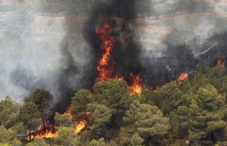 دستگیری ۲۰ نفر در ماجرای آتش‌سوزی‌های اخیر جنگل‌ها
