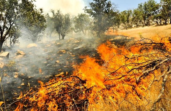  آتش‌افروزی در جنگل‌های خوزستان