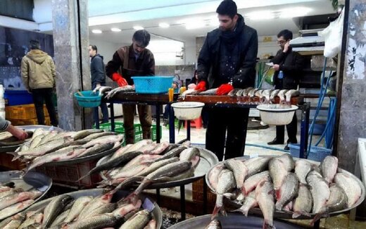  قیمت انواع ماهی 