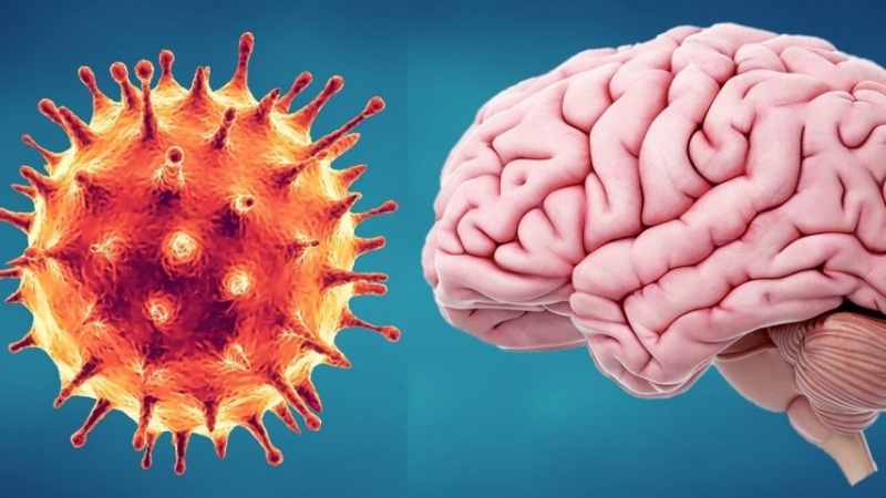 ابتلا به ویروس کرونا بر بافت مغز تاثیر می‌گذارد؟