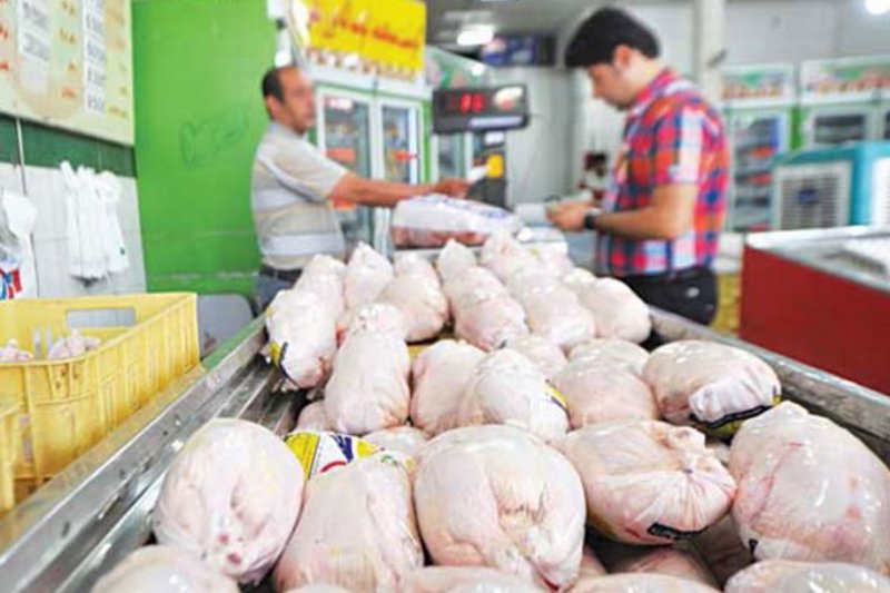توزیع مرغ در تهران 