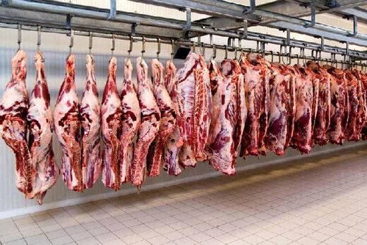 تنها هفته اول هر ماه بازار گوشت قرمز رونق دارد / توزیع گوشت گوسفندی کیلویی ۱۰۸ تا ۱۱۲ هزار تومان بین مغازه‌داران