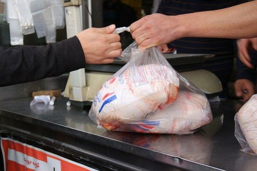 قیمت مرغ کاهش می‌یابد؟