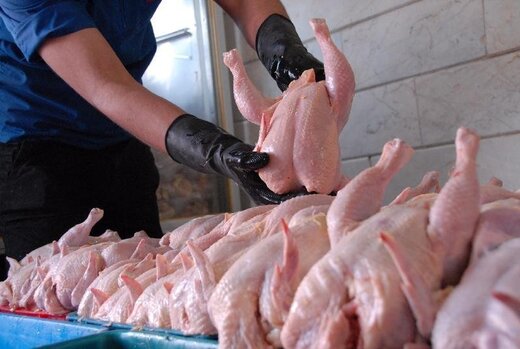 تدوام نابسامانی در بازار مرغ؛ همه نگاه‌ها به وزارت کشاورزی دوخته شده