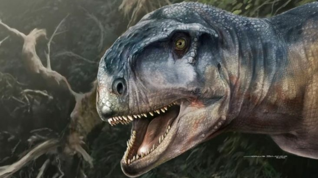 کشف بقایای دایناسوری که باید از آن ترسید