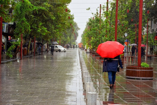 بارش پراکنده در برخی مناطق کشور / خشکسالی عامل آلودگی هوا در تابستان و بهار