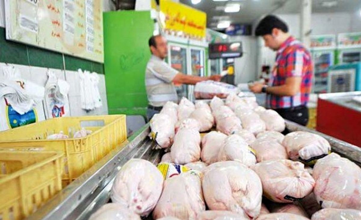 پیشنهاد به دولت جدید برای ساماندهی بازار مرغ