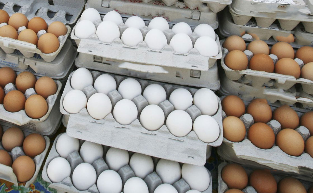 چرا تخم مرغ دوباره گران شد؟