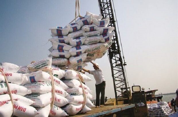 برنج وارداتی کیلویی چند؟/ فاصله قیمت اندک برنج خارجی با برنج ایرانی