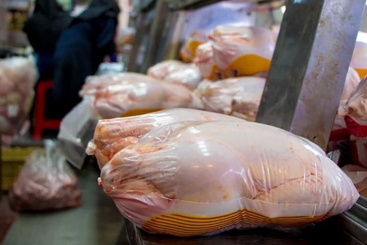 افزایش ۵ تا ۶ هزار و ۵۰۰ تومانی قیمت مرغ در بازار/ قیمت مرغ در میادین به محدود ۶۰ هزارتومان رسید