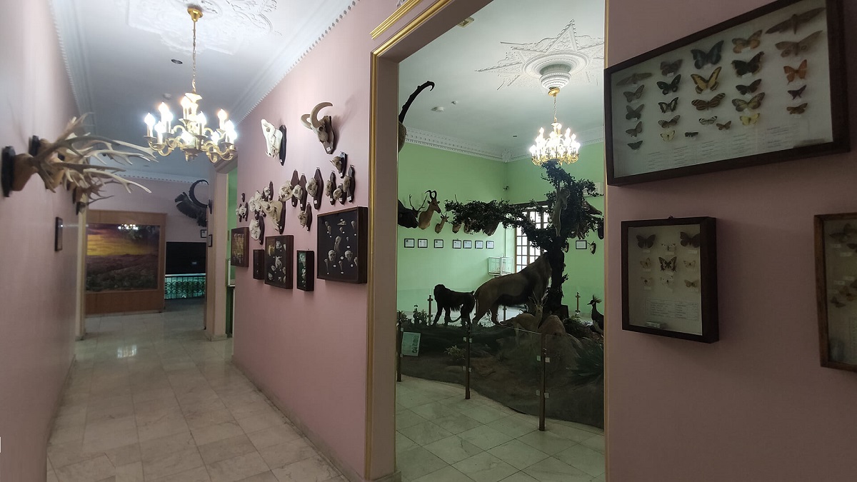 جاذبه گردشگری موزه حیات وحش هفت چنار