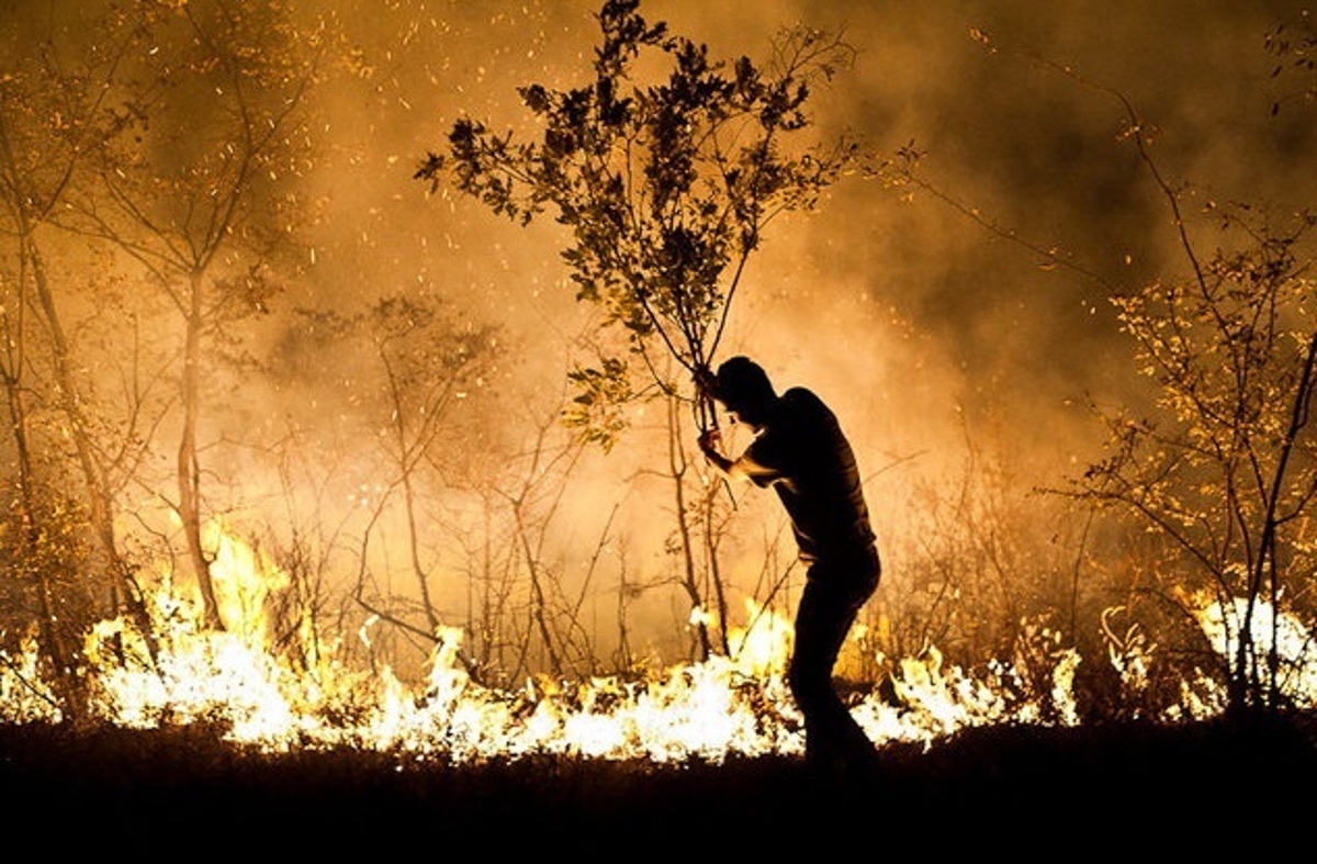 رئیس پارک ملی کرخه: از ابتدای سال ۲۵ تا ۲۶ هکتار از مساحت این پارک در آتش سوخته است