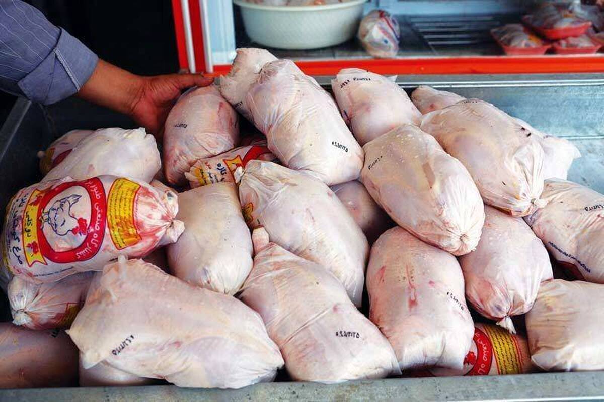 چرا قیمت گوشت مرغ به ۱۰۰ تومان رسید؟