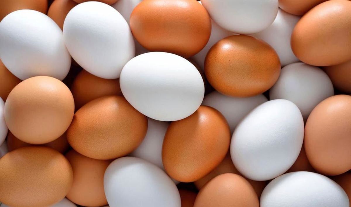 ترفند جدید برای گرانی تخم مرغ
