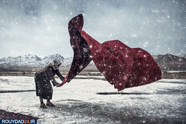 عکس‌های برتر جشنواره عکاسی سونی از سال 2012 تتا 2017