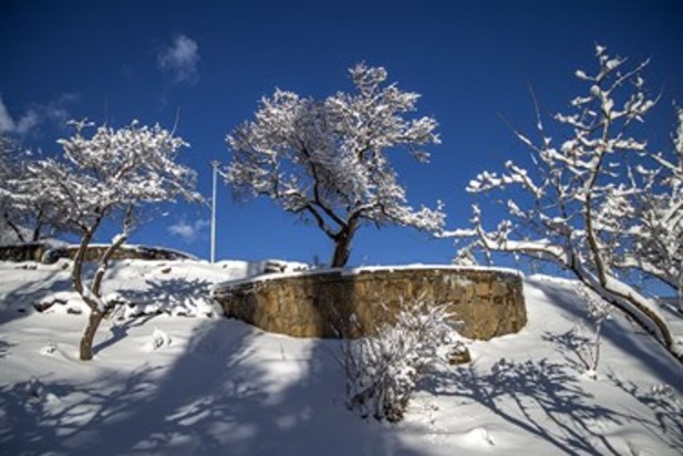 طبیعت زمستانی سنندج