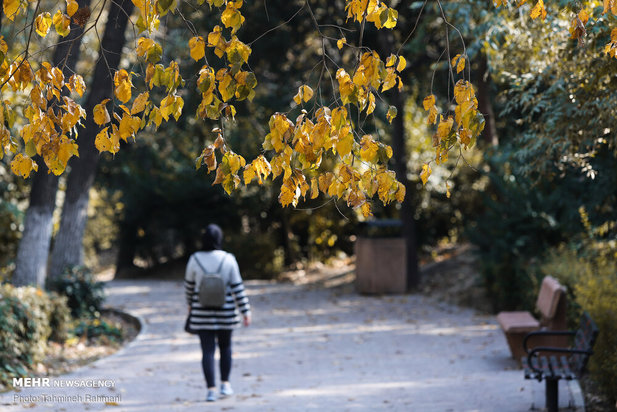 رنگ پاییز تهران